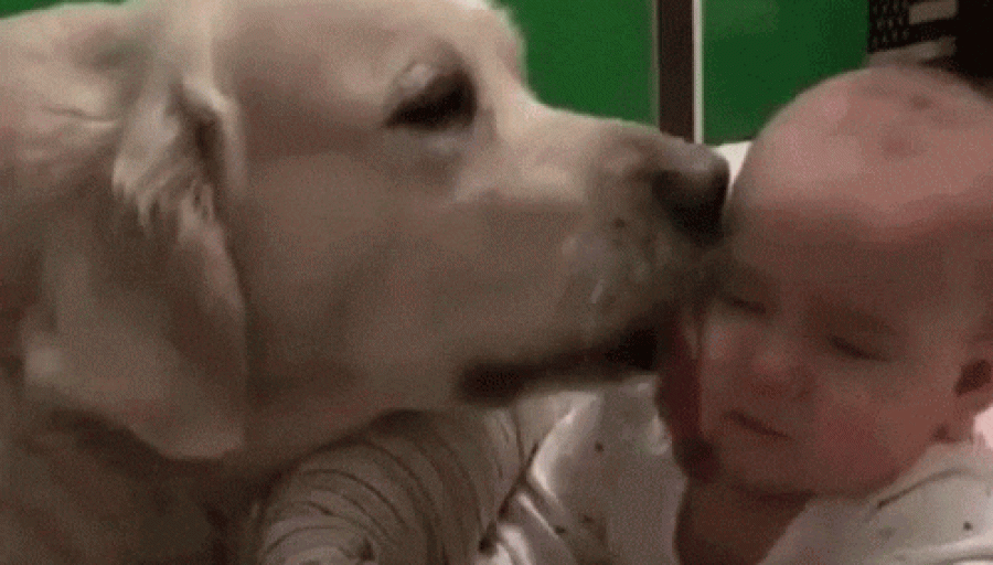 Welcome Luke – To A Social World