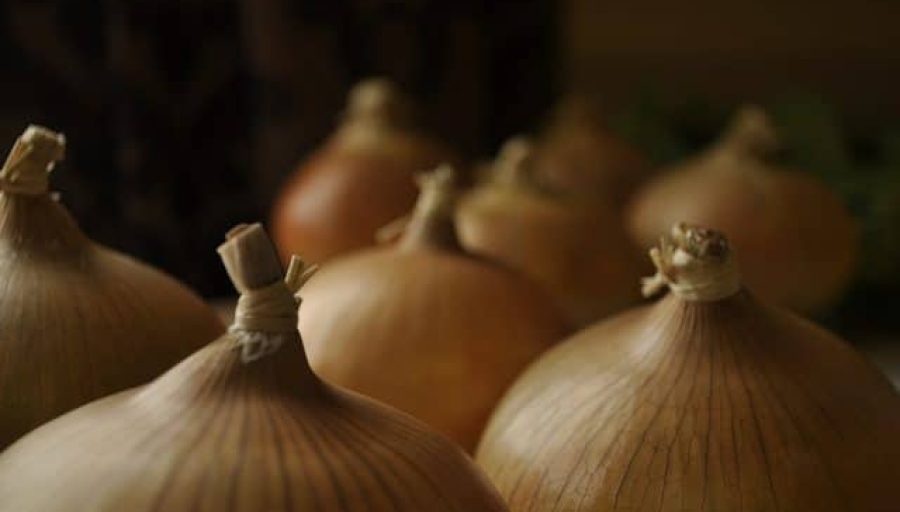 The Onion Shares The Secret To Creating Content That Doesn’t Suck