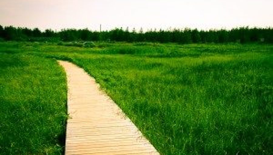 Content Marketing That Converts Content Marketing That Converts