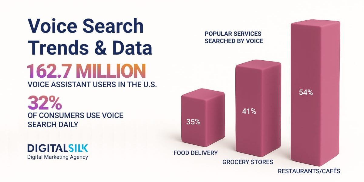 voice search 2025 stats 
