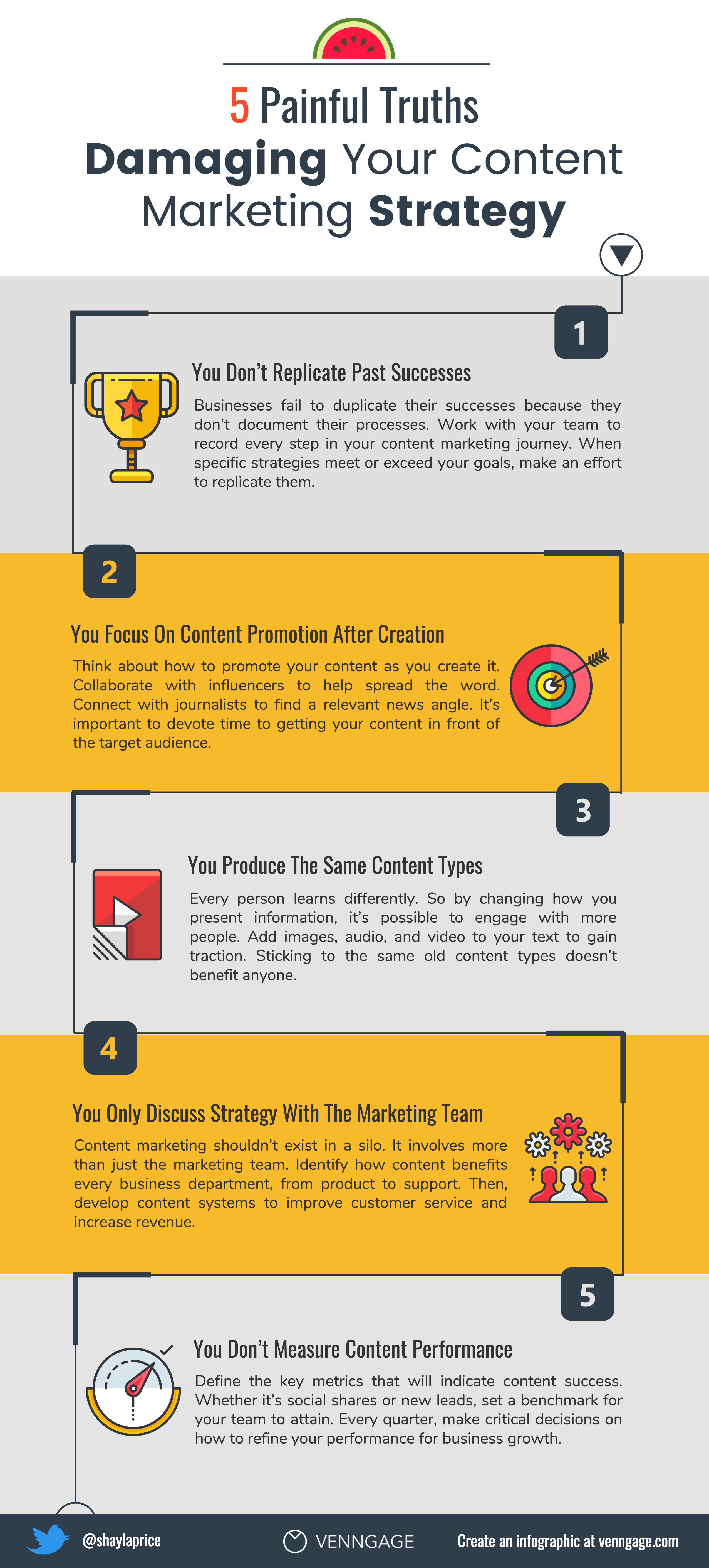 Venngage Shayla Infographic